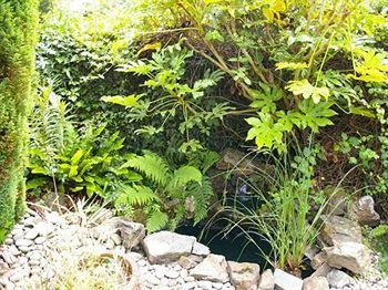 فندق Bridge House Gunnislake المظهر الخارجي الصورة